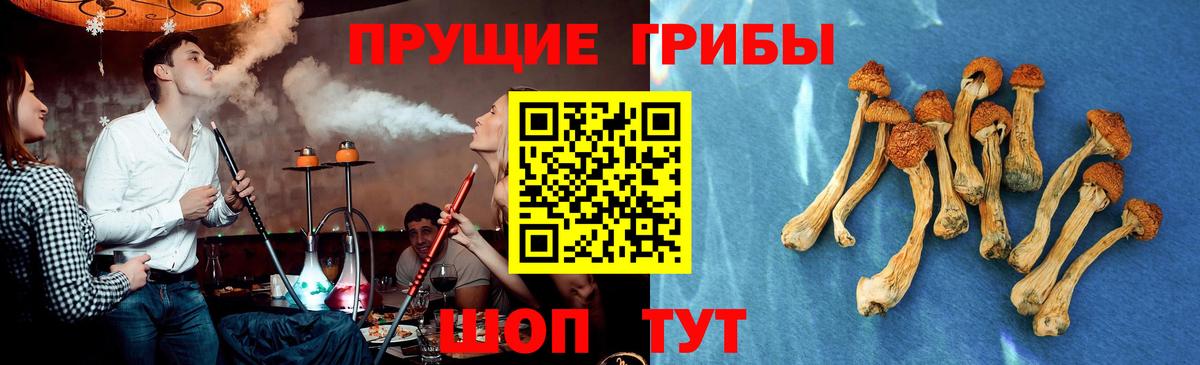 Галлюциногенные грибы Magic Shrooms Сальск