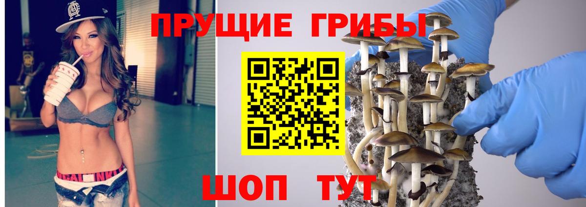 Галлюциногенные грибы GOLDEN TEACHER  Вход с VPN  Сальск 